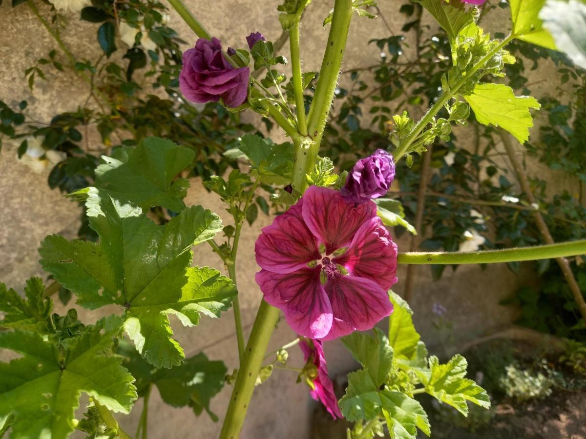 Maison Violette En Berry Aigurande Dış mekan fotoğraf